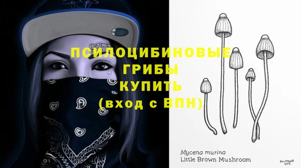 а пвп мука Армянск