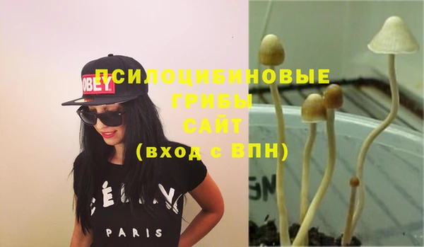 mix Аркадак