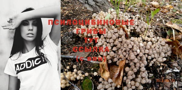 а пвп мука Армянск