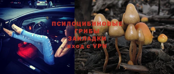 mix Аркадак